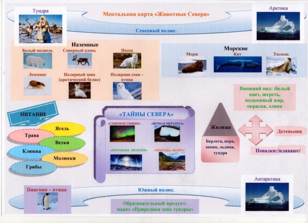 Ментальная карта Животные севера